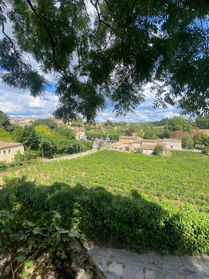 Willa La Madeleine, Nichee Au Coeur De Saint-Émilion Zewnętrze zdjęcie